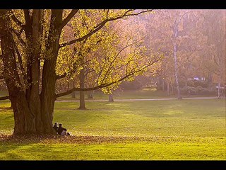 خى خى محمد عبد الوهاب