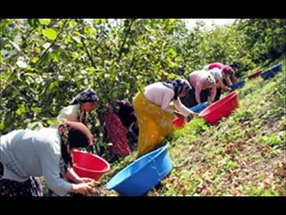 ROSA KADIN KOROSU   1 MAYIS'TA TAKSİM'E