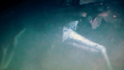 2014 Godzilla Crossover deleted sad scene