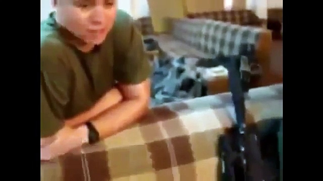 funny videos
