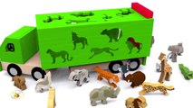 eDmTV Trucks for children. Learn wild animals in English! Cartoons for babies 1 year HD iz