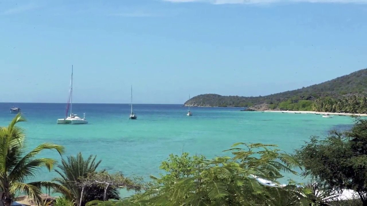 Testigos 2015