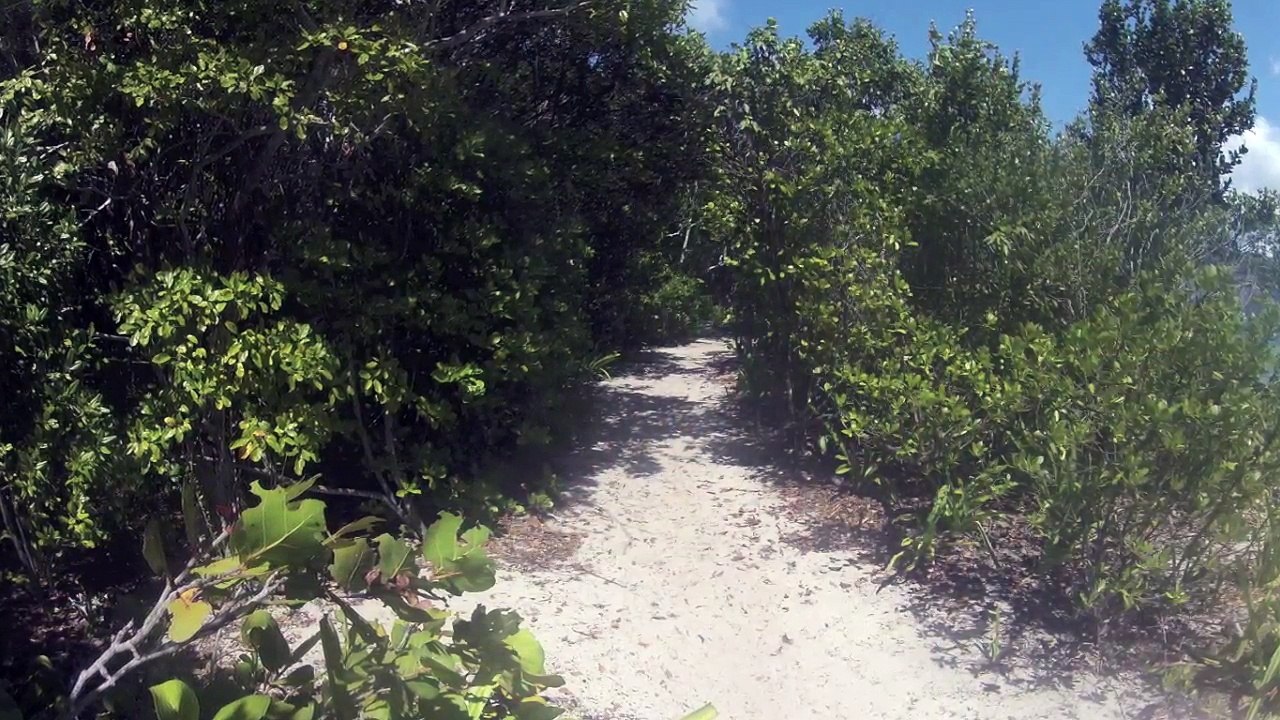Les Iles Vierges Britanniques (BVI) 2015