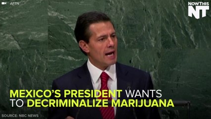 Mexico's President Wants to Decriminalize Weed