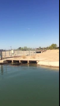 Bass Fishing Yuma Az Yuma Bank Beaters Fishing The Mexican Blackbird