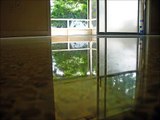 Terrazzo Restoration Orlando 2 877-824-0501