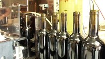Mise en bouteille Pillebois vieilles vignes millésime 2010 - Vignobles Marcel petit