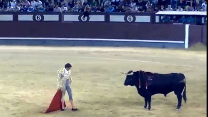 Top funny Spanish Bull Fight 2 HD mp4 dailymotion original