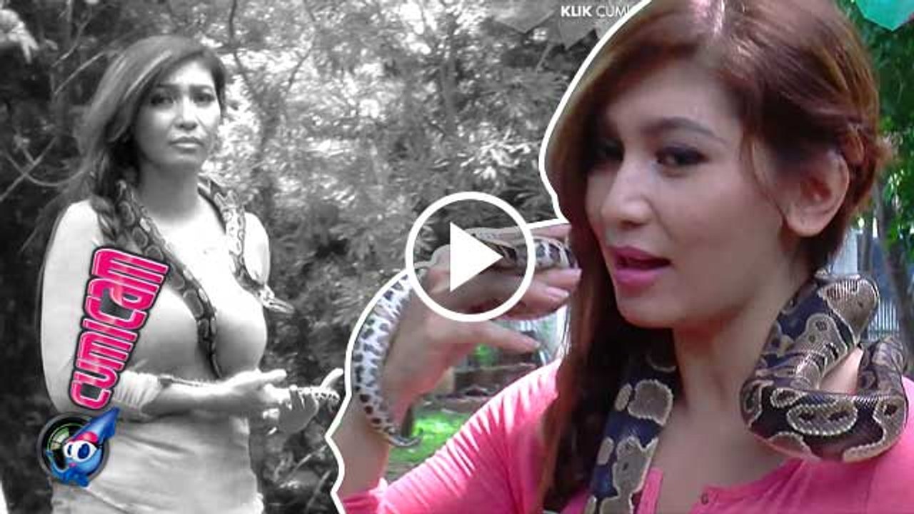 Baby Margaretha: "Ular Piton Lebih Seksi dari King Cobra" - Cumicam 21 April 2016