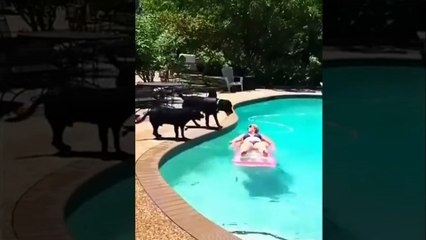 XO888 - Những tai nạn hài hước nhất phần 3