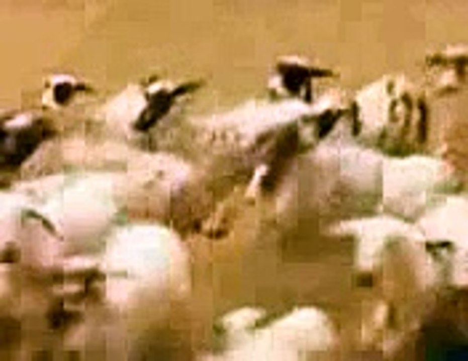 Imman Annachi , Black Pandi Comedy In Village - Velmurugan Borewells (2014) Tamil Movie Sc