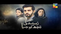 Zindagi Tujh Ko Jiya Episode 36  HUM TV Drama 20 April 2016-Promo
