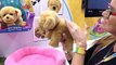 Snuggles My Dream Puppy - Little Live Pets New Interactive Realistic Toy Dog by DCTC