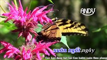 [Karaoke] Con Bướm Xuân Remix - Hồ Quang Hiếu - beat organ - andykaraoke.website