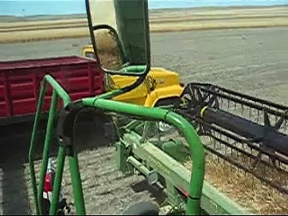 Wheat Harvest