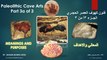 Paleolithic cave art secrets revealed-Part3a Meanings and Purposes of Drawings