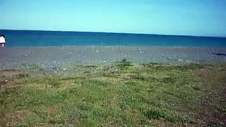 Sea front, Napier description... beautiful