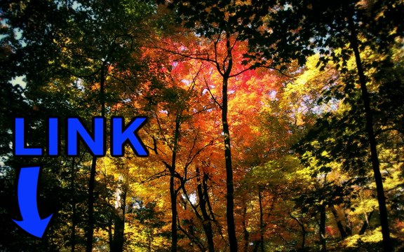 Starbound steam key generator telecharger 2016