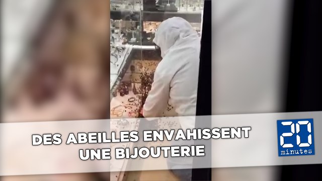 Des milliers d'abeilles envahissent une bijouterie