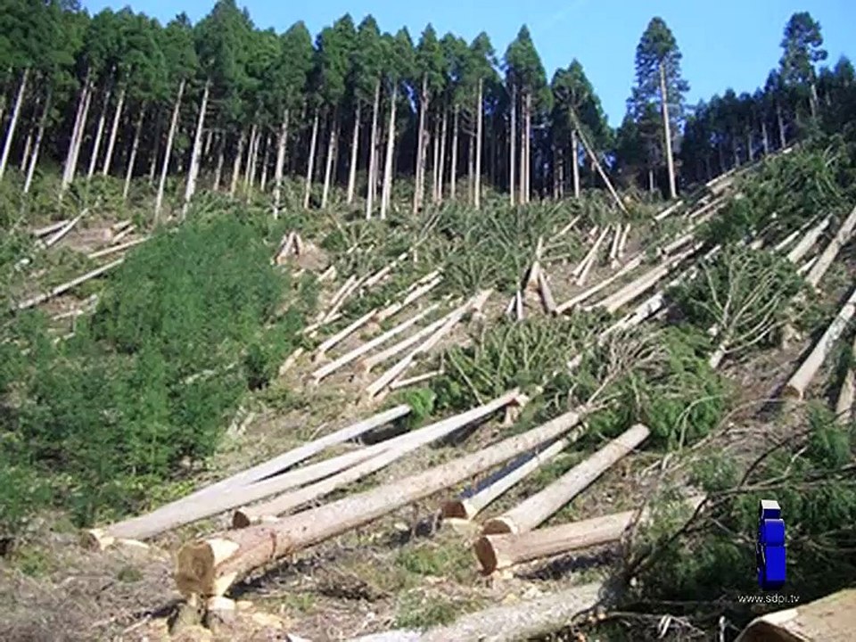 SDPI Report: Forests Livelihoods and Power Relations in North West Pakistan (Book Launch)