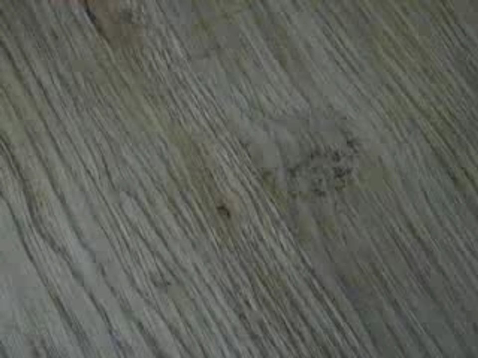 404 - Page Not Found (paper)