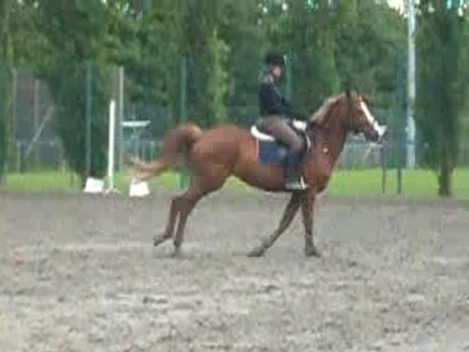 Au galop