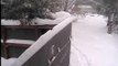 Panda Tian Tian plays in the snow, funny panda Jan 23, 2016 National Zoo