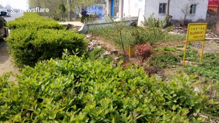 Man refuels tractor while smoking