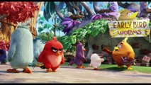Animated ANGRY BIRDS  NEW Movie Trailer (2016 - Animated Film).