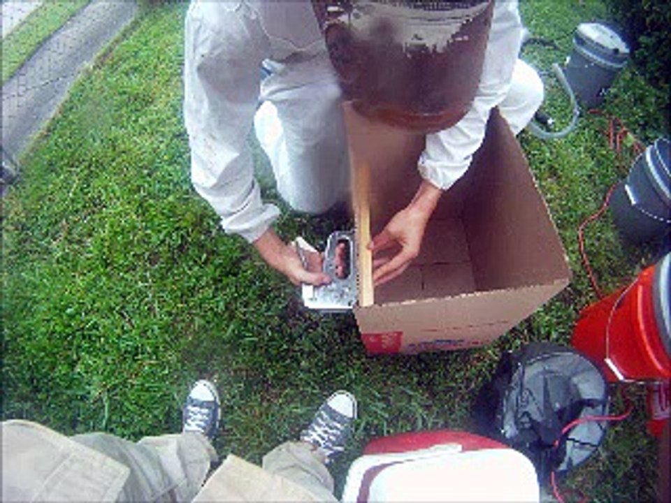 Live Bee Rescue Soffit