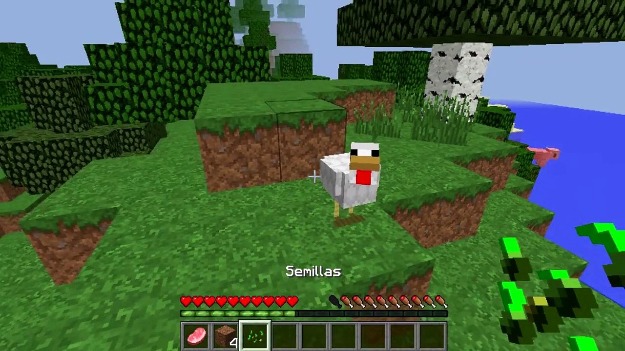 TIPOS DE JUGADORES DE MINECRAFT