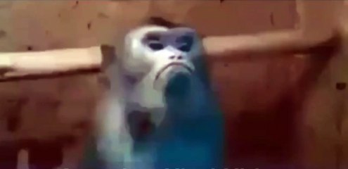 Funny - When a Girl Doesn't Get What She Wants