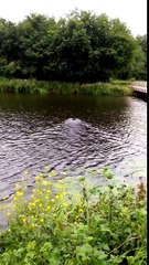 Zendé over de Dommel