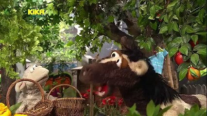 Sesamstraße präsentiert - Eine Möhre für Zwei - Der Apfelstreit