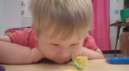 Une mante religieuse diabolique attaque un petit garçon !