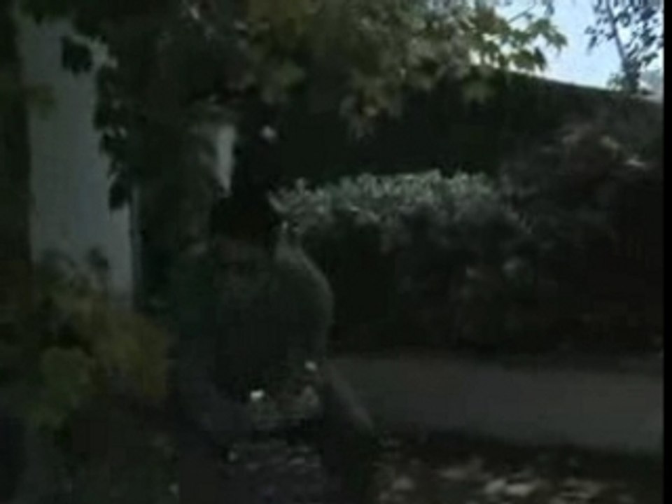 parodie de counter-strike /cs