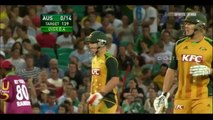 David warner gave a nightmare to west indies bowlers _ __67 __ runs off 29 balls
