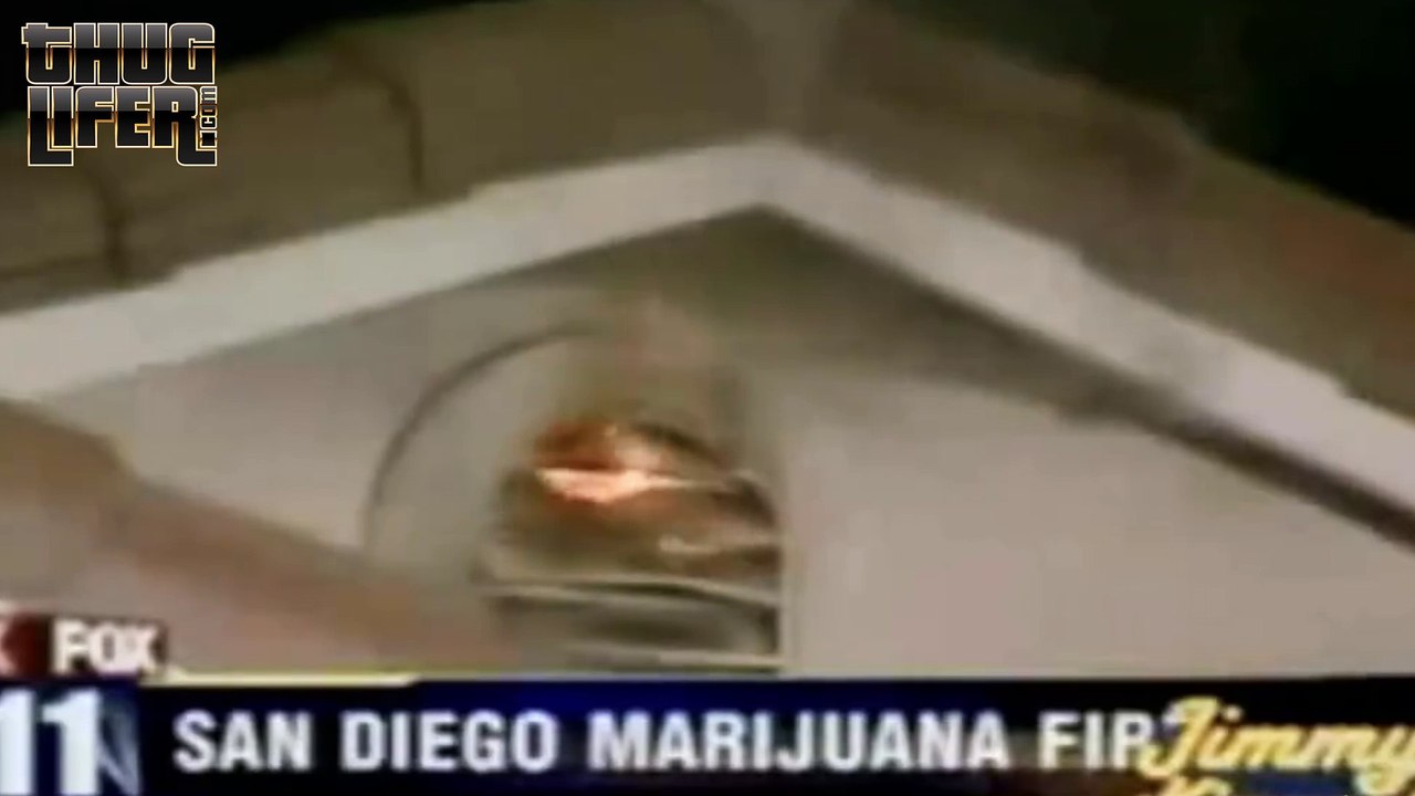 Fireman got high AF
