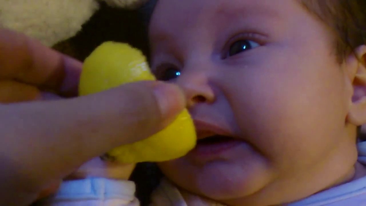 Baby's First Lemon