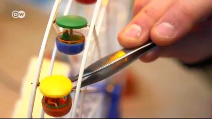 وجبات كأعمال فنية