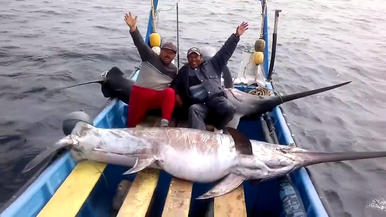 Great Catch!