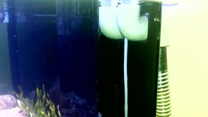 125 Litre Sump Sistemi Çalışma Prensibi