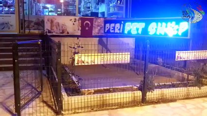Peri Pet Shop (Erhan Osman Mısırlı) Antakya - Hatay