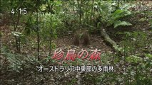 [youku] シリーズ世界遺産100 （東京1） - 2012年05月11日（金） No.451 [720p]