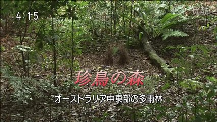 [youku] シリーズ世界遺産100 （東京1） - 2012年05月11日（金） No.451 [720p]