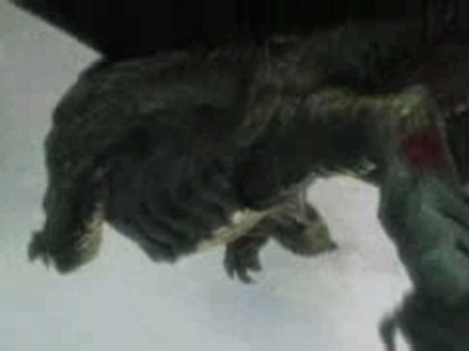 *LAIR* - Playstation 3