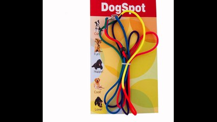 Dog Daycare San Marcos