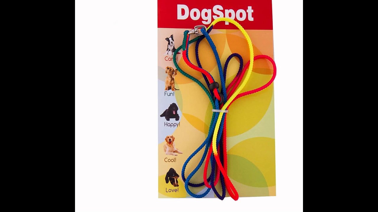 Dog Daycare San Marcos