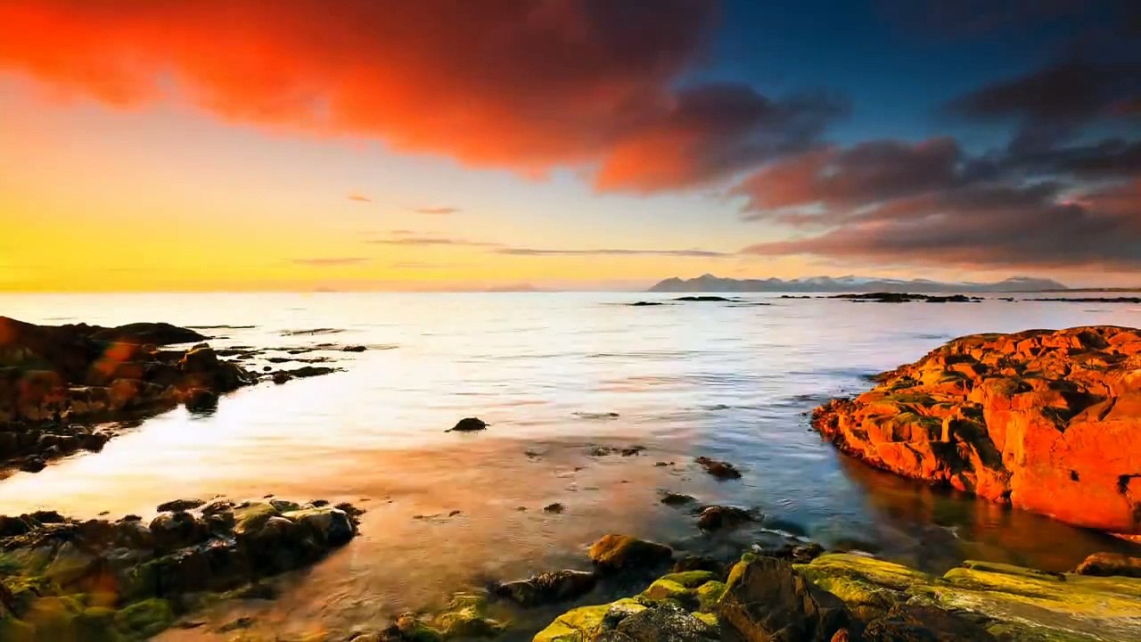The Arctic Light