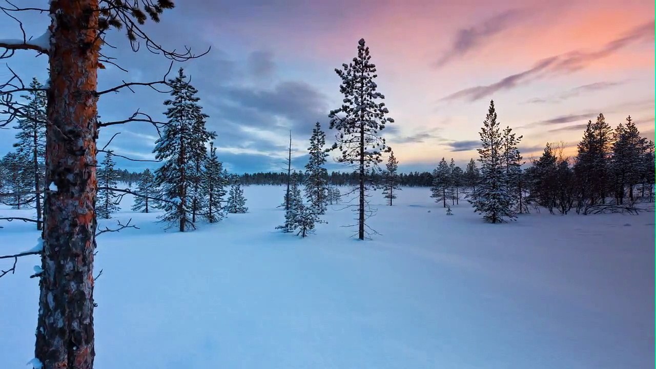 The Aurora